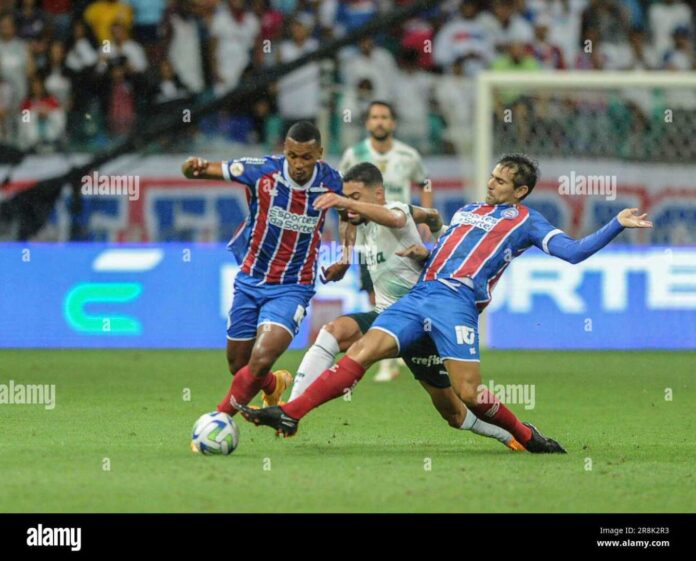 Bahia Vs Palmeiras Soccer Match At Arena Fonte Nova