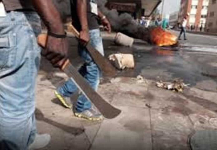 Benue Cult Clash Victims