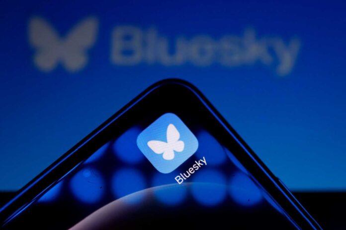 Bluesky Social Media App Logo Blue Butterfly