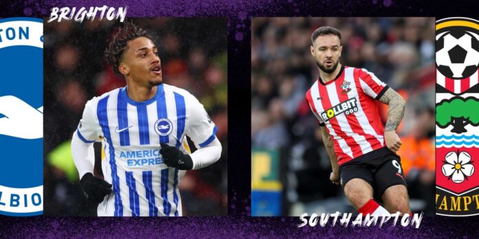 Brighton Vs Southampton Premier League Match