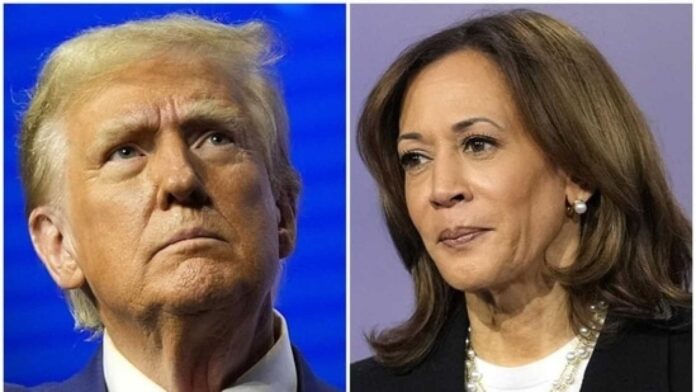 Celebrities Endorsing Donald Trump And Kamala Harris