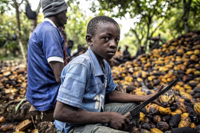 Child Labor In Agriculture West Africa