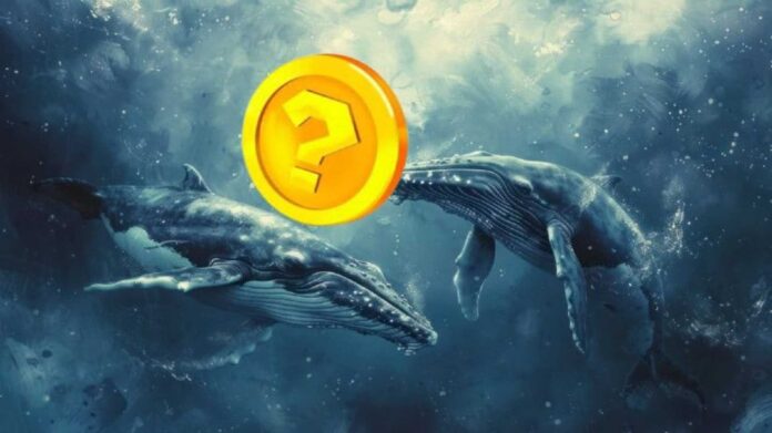 Cryptocurrencies With Whale Attention November 2024