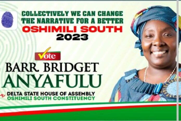 Delta State House Of Assembly Member Bridget Anyafulu Education Reform