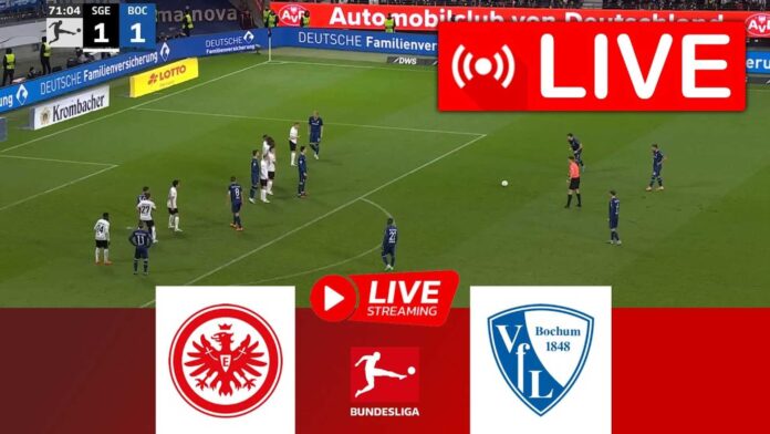 Eintracht Frankfurt Vs Vfl Bochum Bundesliga Match