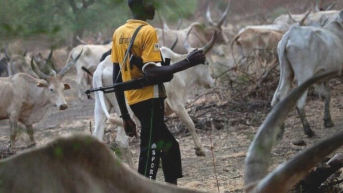 Enugu Farmers Killed By Herdsmen