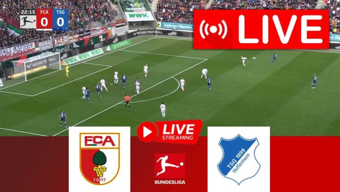 Fc Augsburg Vs Tsg Hoffenheim Bundesliga Match