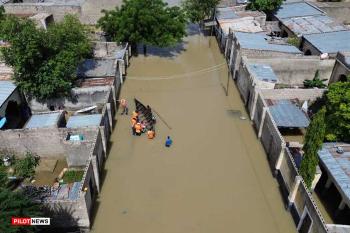 Federal Government Of Nigeria Afdb Food Grant Flood Victims