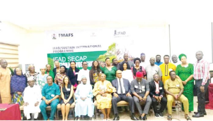 Fgn Ifad Nddc Projects In Nigeria