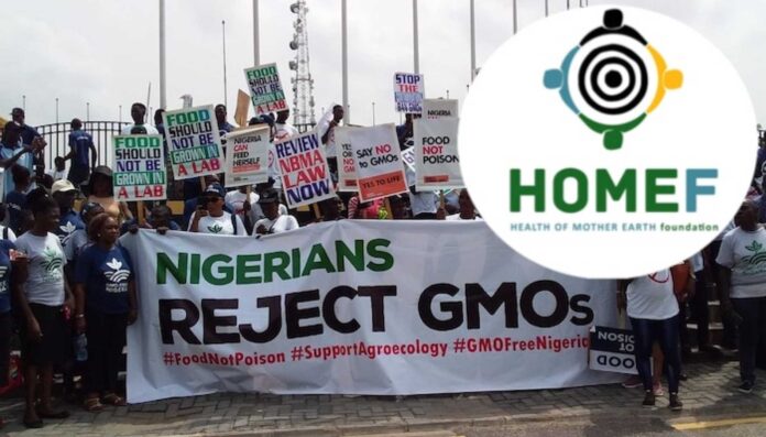 Gmo Food Health Risks Nigeria