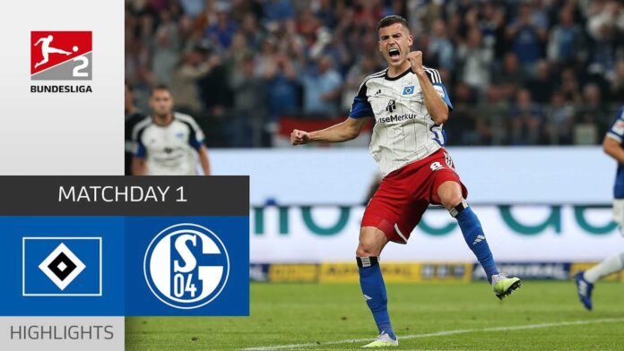 Hamburger Sv Vs Fc Schalke 04 Match