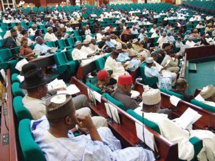 House Of Representatives Nigeria Age Falsification Investigation