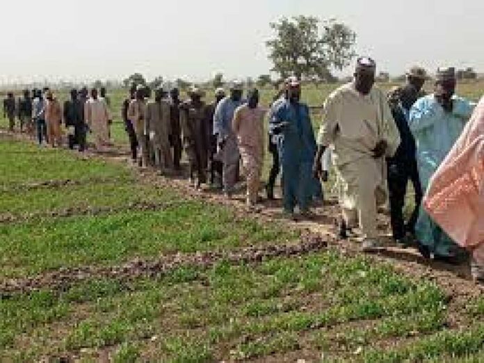 Katsina Dam Expansion Irrigation Agriculture