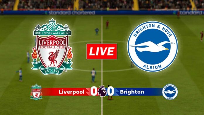 Liverpool Vs Brighton Premier League Match