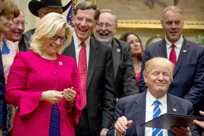 Liz Cheney And Donald Trump