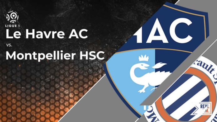 Montpellier Hsc Vs Le Havre Ac Ligue 1 Match