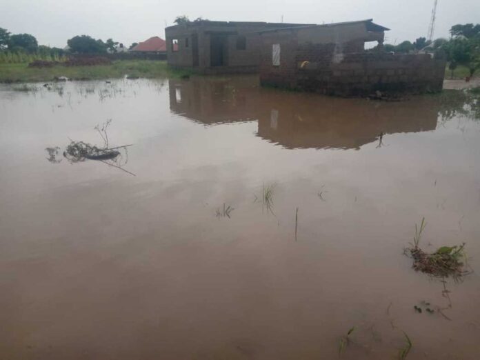 Nigeria Dams Flood Control Crop Irrigation