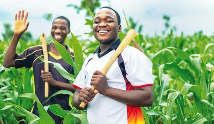 Nigerian Youths Training In Modern Agriculture