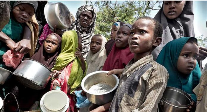 Nigerians Facing Food Insecurity