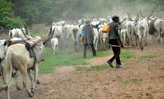 Ogun Chief Killed By Suspected Herdsmen On Farmland