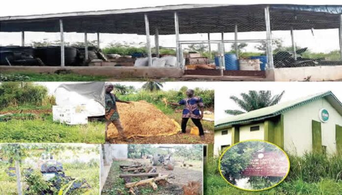 Ogun N4bn Rice Project Abandoned