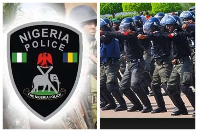 Ogun State Police Command Parading Kidnappers