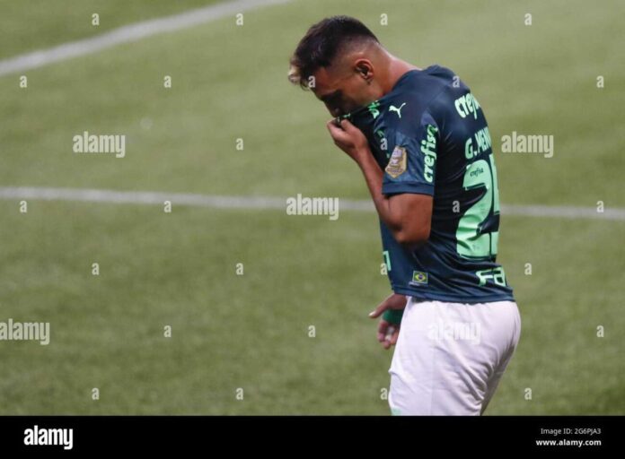 Palmeiras Vs Grêmio Brazilian Serie A Match