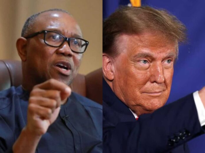 Peter Obi And Donald Trump