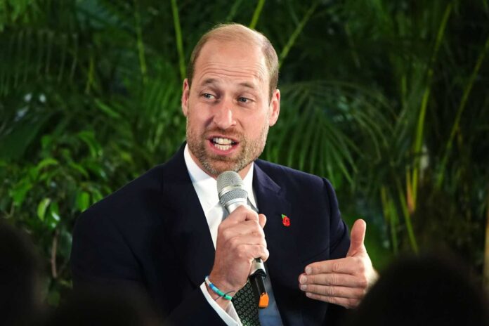 Prince William Speaking To Reporters In South Africa