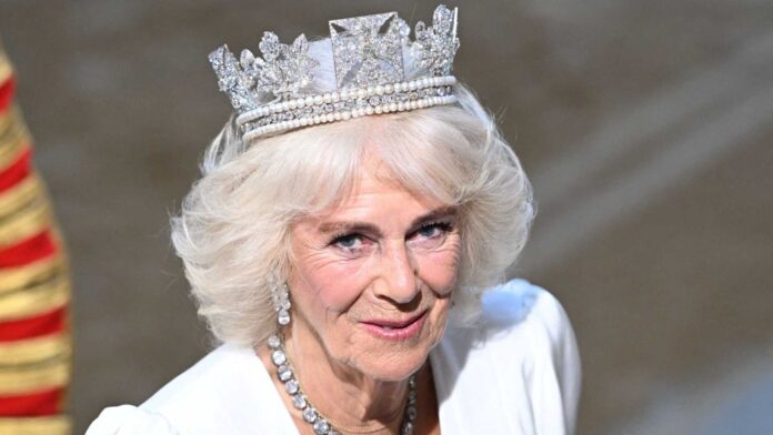 Queen Camilla Chest Infection