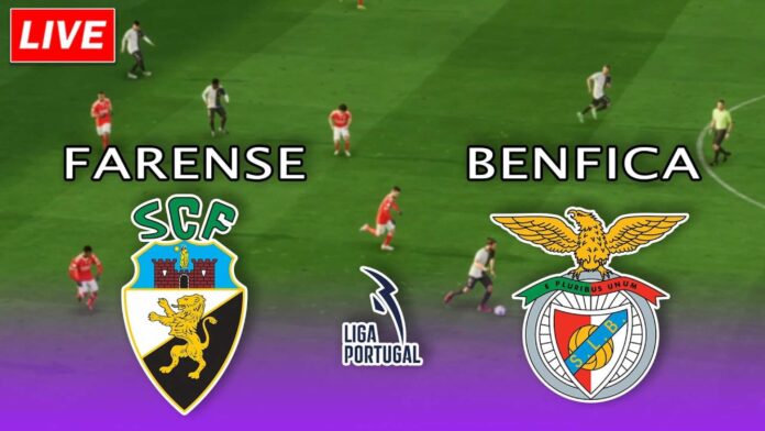 Sc Farense Vs Benfica Match Highlights