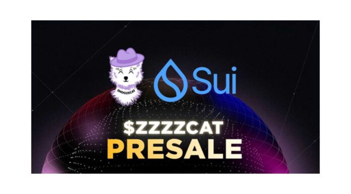 Snoozecat Meme Coin Sui Blockchain Cetus Protocol