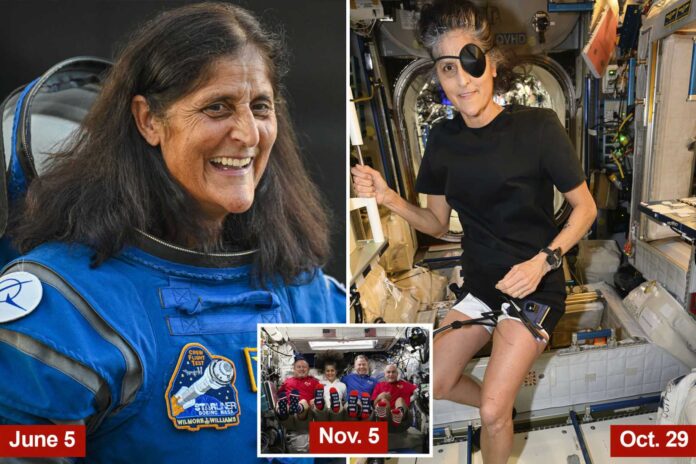 Sunita Williams Weight Loss In Space