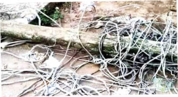 Windstorm Destroys Electric Poles In Calabar