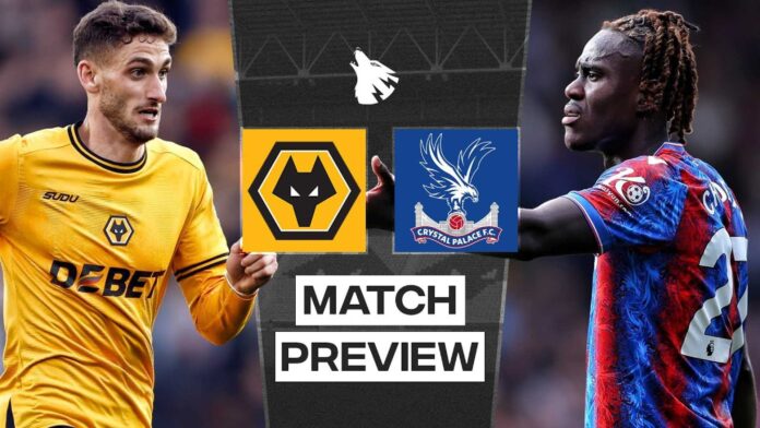 Wolverhampton Wanderers Vs Crystal Palace Premier League Match