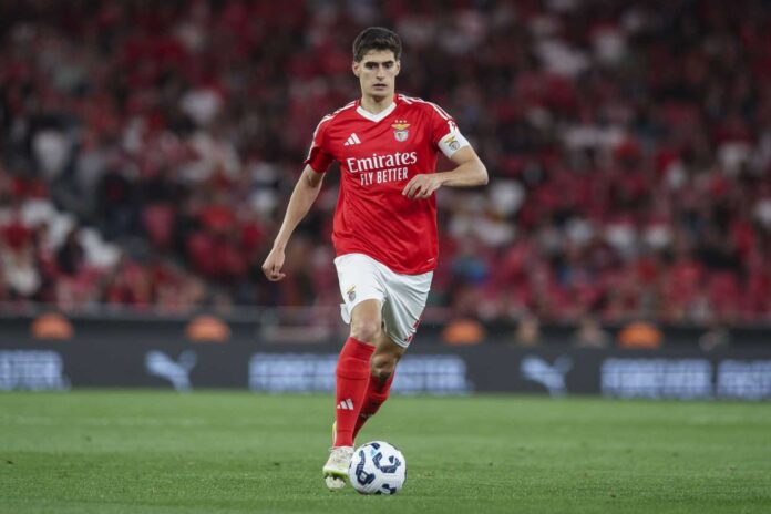 Benfica Vs Avs Primeira Liga Match