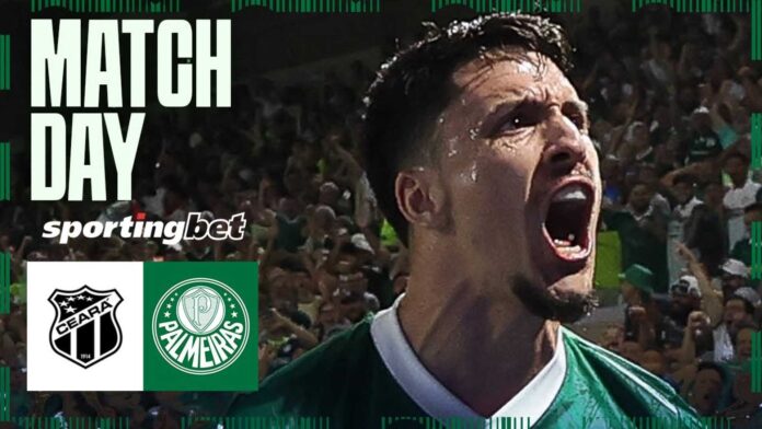 Palmeiras Vs Ceará Copa Do Brasil Match
