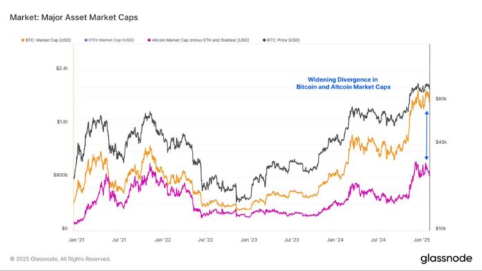 Bitcoin Altcoins Market Growth Chart