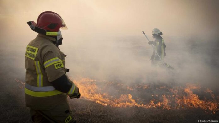 Firefighters Extinguishing Forest Fire In Poland