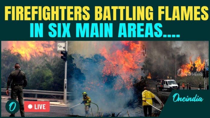 Israel Wildfires Firefighters Battling Flames
