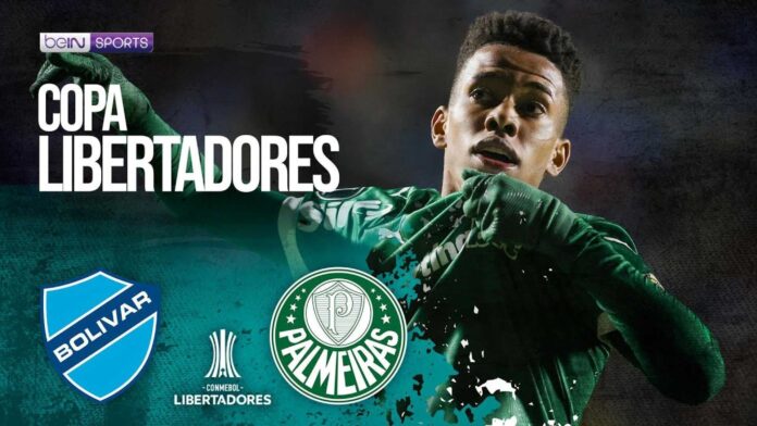 Palmeiras Bolivar Copa Libertadores Match Preview