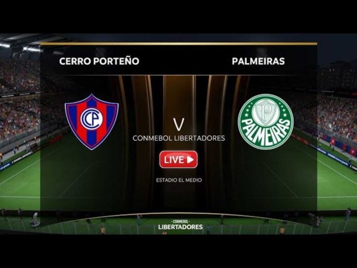 Palmeiras Cerro Porteño Football Match