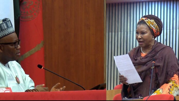 Senator Ireti Kingibe Speaking At A Press Conference