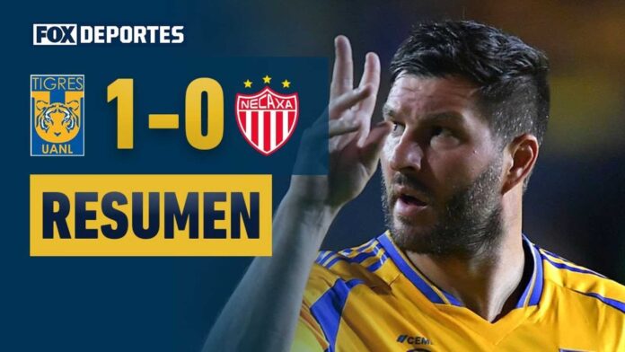 Tigres Vs Necaxa Match Highlights