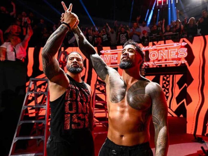 Wwe Money In The Bank Event And Participants