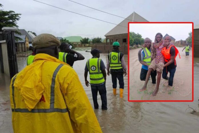 Adamawa Flood Rescue Operations