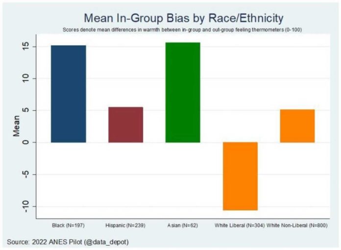 Americans Sharing Thoughts About Identity