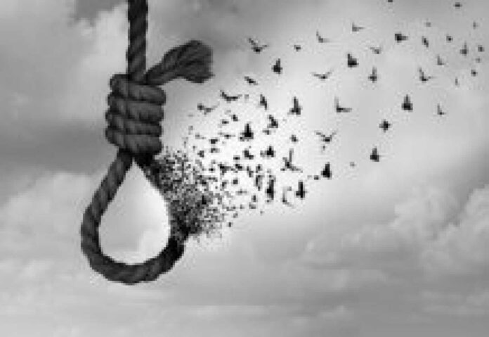 Mauves Match Day Excitement At Lotto Park