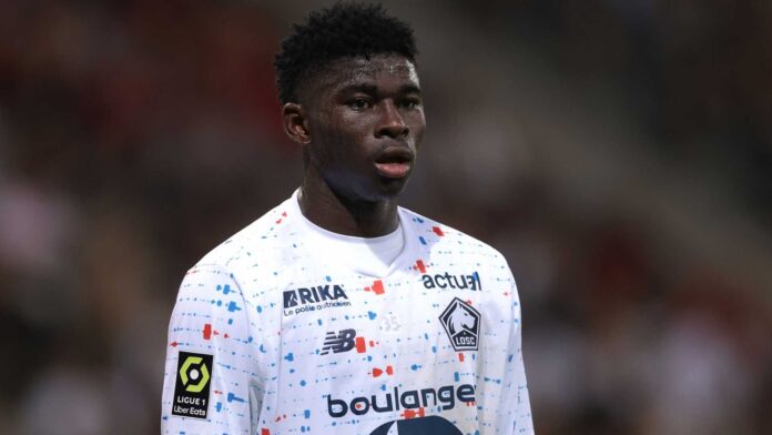 Carlos Baleba Football Midfielder Transfer News