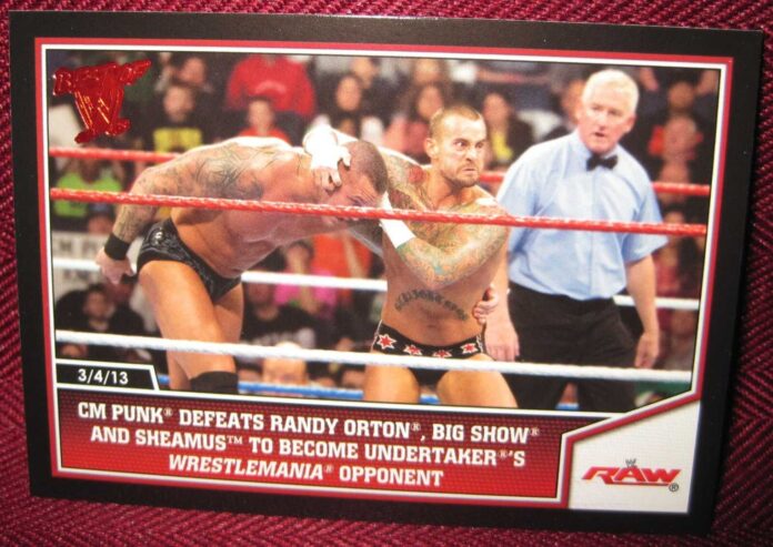 Cm Punk, Wwe Summerslam Championship Match